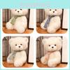Adorable Soft Teddy Bear Plush Toy Creative Cute Stuffed Animal Doll For Girls Birthday Gift Wholesale