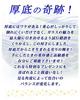 Kubagasa-ya Пивной бокал Ryukyu Okinawa Светящийся в темноте Флюорит Ручная работа Сделано в Японии