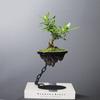 Modern Succulent Planter Pot Hanging Rockery Ornament Basin Bonsai Pot  Office