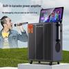 SANSUI PE159 Portable Outdoor KTV Smart Speaker System