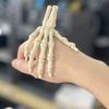 Halloween Skeleton Hand 3D Printed Plastic Human Hand Bone Model Scary Halloween Trick Props for Tableware Party Supplies Haunted House Home Decor