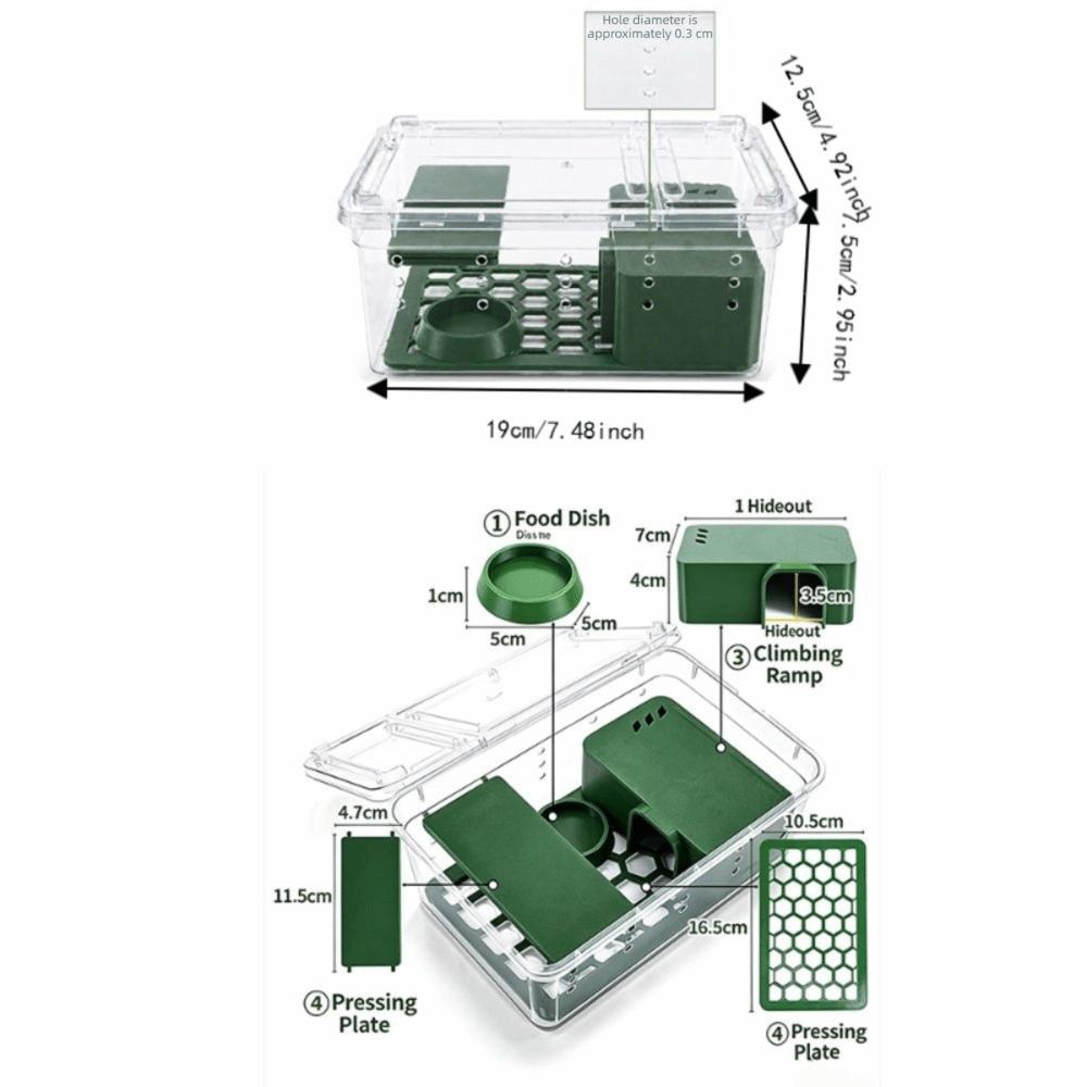 Detachable Gecko Tank Drop-Resistant Lizard Enclosure Reptile Terrarium  Climbing Animals Habitat
