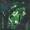 LP Пластинка BUFFALO TOM - Birdbrain BBQ2179LP Beggars Arkive, 2020 Всемирный Рок