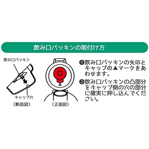 Skater Water Bottle Minecraft 480ml Children's Antibacterial Plastic Made In Japan PSB5SANAG-A