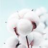 Jingdong Zhizao Хлопковое полотенце Awalong из Синьцзяна, 5 шт.