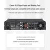DAIPU DP-PL650 650W 2U Power Amplifier (CN version)