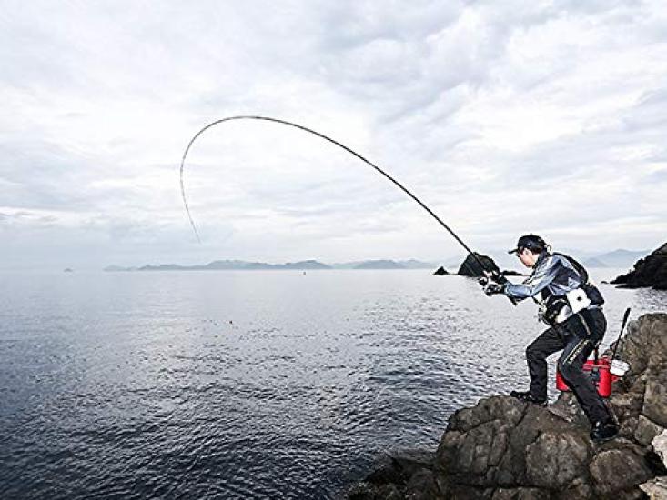 SHIMANO 20 Raiarm 1.2-500 fishing rod