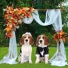 Dog Tuxedo Dog Suit Puppy Pet Tuxedo Wedding Party Costume Dog Prince Bow Tie Shirt Formal Dog Weeding Attire Dogs Cats Clothes
