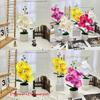 Butterfly Orchid Faux Potted Plant With Silk Cloth Material For Home Decor And Outdoor Photography