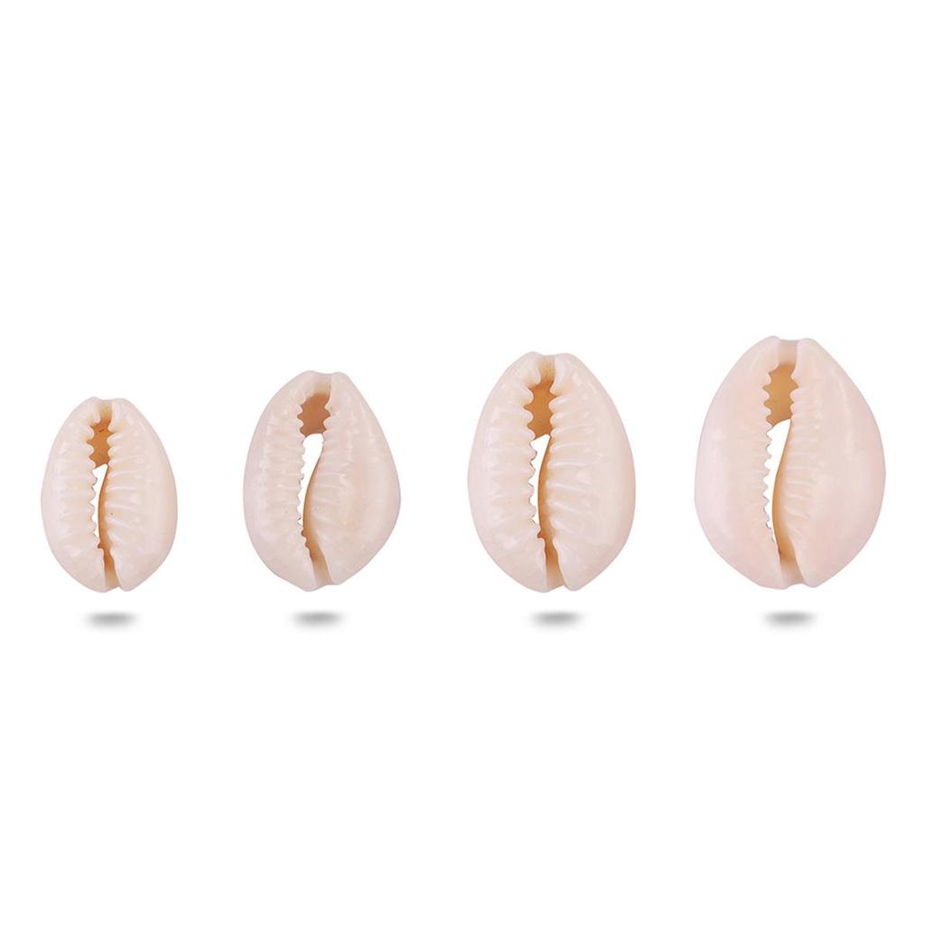 20 шт. натуральный цвет бусины-ракушки для украшения дома DIY серьги браслет аксессуары для изготовления ювелирных изделий