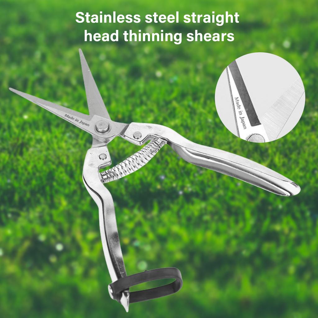 Садовые ножницы из нержавеющей стали, садовый инструмент, зубчатая ручка из нержавеющей стали для фруктовых деревьев и грубых веток