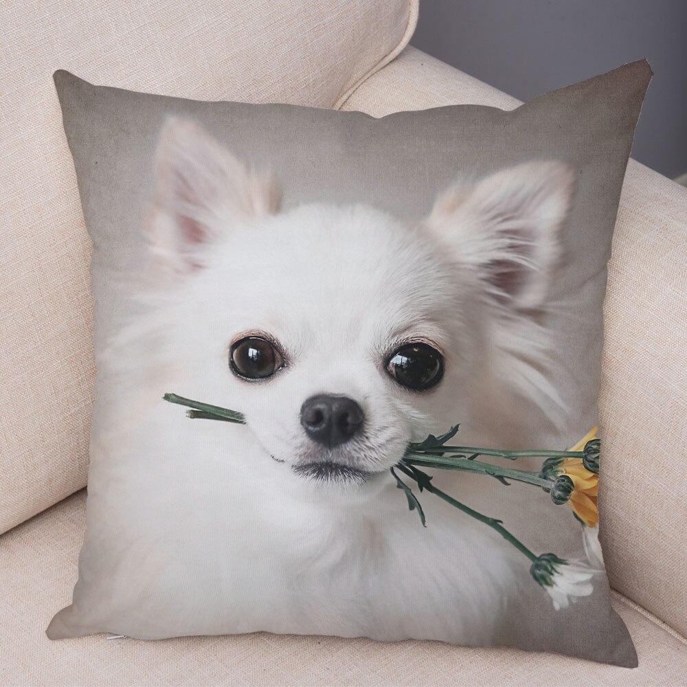 Cute Pet Animal Pillowcase Decorative Cute Puppy Chihuahua Pillowcase Soft Plush Cushion Cover for Car Sofa Home 45x45cm