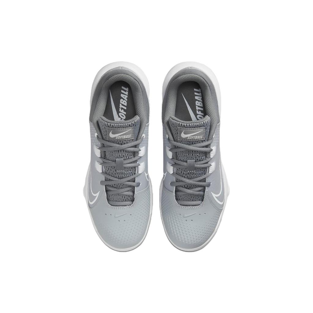Nike Hyperdiamond 4 Pro Mcs 'Серый Волк Белый' Женские DC8990-012