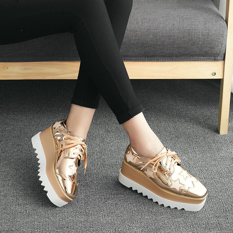 Slim and Versatile 2024 Spring New Star Thick Sole Sponge Cake Sole Casual Shoes Lace Up Slope Heel Shoes Women's British Style HZB