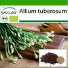 Organic - Garlic-Chives - 100 Seeds - With Potting Substrate for Better Cultivation - Allium Tuberosum