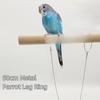Multiple Size Ankle Foot Chain 50cm Pet Bird Leash Chain New Metal Parrot Leg Ring  Bird Supplies