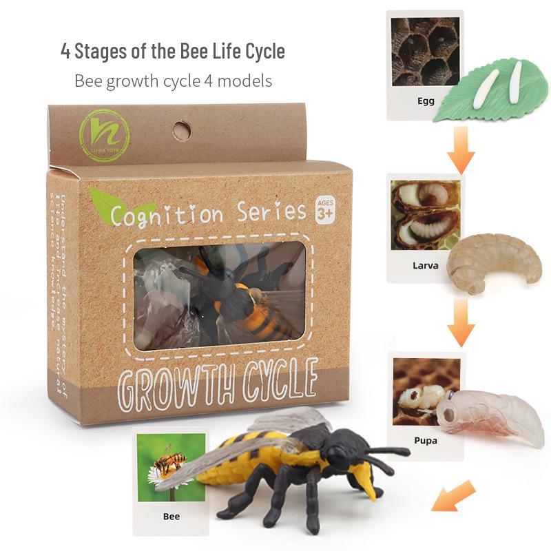 Montessori Animal & Plant Growth Cycle Teaching Toys for Kids