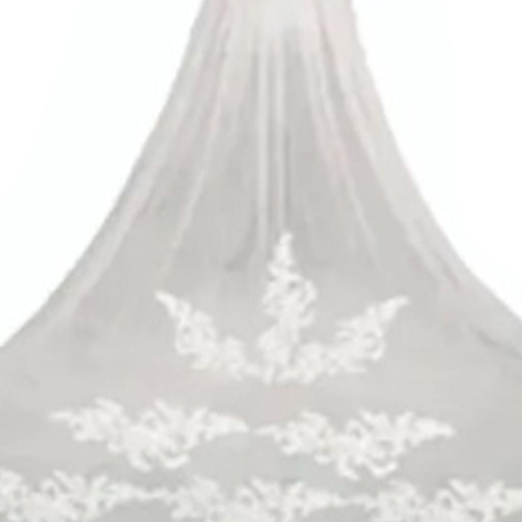 3 Meter Bridal Veil Lace Applique Metal Comb Fixing Ultra Long Bridal Drop Veil for Wedding Ivory