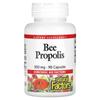 Propolis, 500mg, 90 Capsules