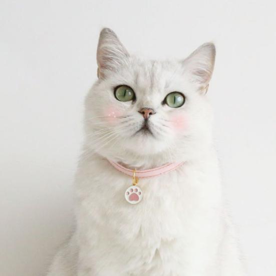 Ошейник для щенка, милый кулон в виде кости лапы, регулируемая пряжка, ожерелье для кошек и собак, декоративный ошейник