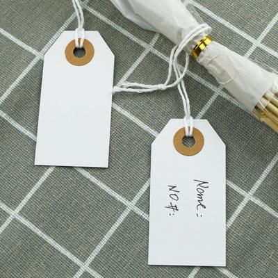 100 шт. подвесные бирки с прикрепленными усиленными отверстиями, эластичная веревка, широко используемые этикетки для записи своими руками