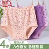 Langsha Women's High-Waist Cotton Briefs 4-Pack