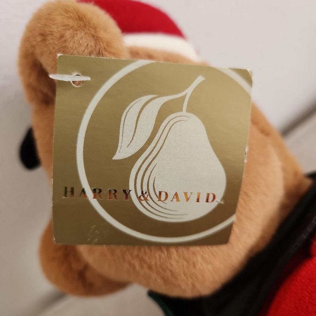 [USED] Harry & David Cubby Teddy Bear