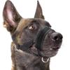 Anti Barking Anti-biting for Small Large Dogs Halter Leash Pet Mouth Mask Dog Muzzle Collar Muzzle