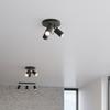 Ring ceiling lamp 3P black