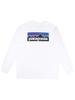 Patagonia Логотип БЕЛАЯ Мужская футболка M's L/S P-6 Responsibili-Tee US-S