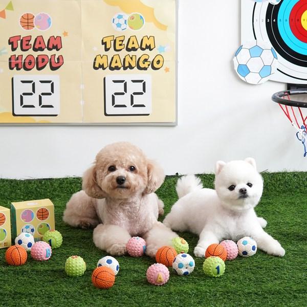 Paris Dog Puppy Fun Fun Small Ball Латексная игрушка, набор из 4 предметов, розовый, оранжевый, синий, зеленый, 1 комплект