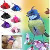 Poultry Rooster Elastic Strap Duck Feather Top Hat Pets Supplies Chicken Hats Cap for Hens