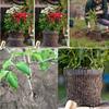 Grid-shaped Plant Growing Bag Stainless Steel Wire Woven Bag Protect the Roots of Plants for Garden Plants Cultivation Nurturing
