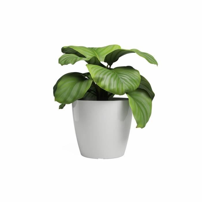 ARTEVASI Pot de fleur SAN REMO - 36 br - Blanc - 36 x 36 x 33,5 cm