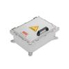 ZHSIFBDQ Gas Explosion-Proof Junction Box (200x200x130mm)