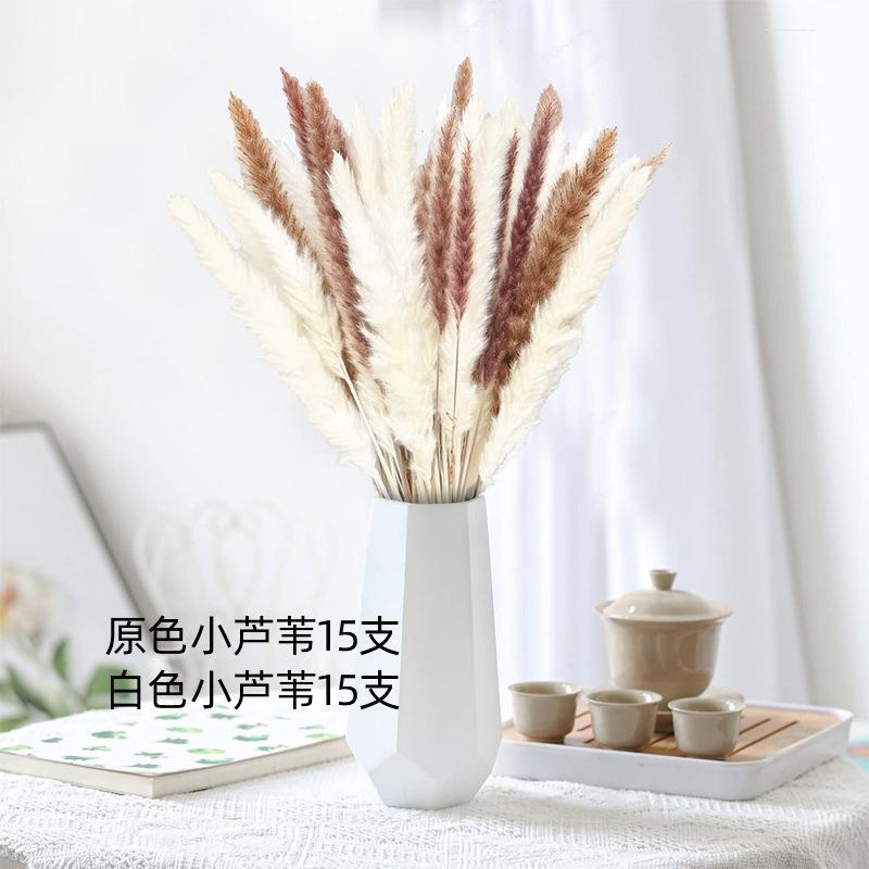 Комбинированный сушеный букет, маленький тростник, заячий хвост, травяной венчик, пыль, украшение для дома в скандинавском стиле, цветочная композиция, смешивайте и сочетайте сухоцветы