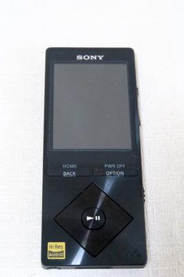 Sony Совместимость с источником звука высокого разрешения Walkman A Series 32 ГБ, черный NW-A16/B