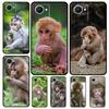 Милый чехол с изображением обезьянки для Realme C53 C55 C35 C33 C31 C30 C25s C21Y C15 C11 GT Neo 5 3T 2T 9 10 11 Pro Plus