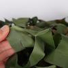OEING Anti-Aerial Photo Camouflage Net