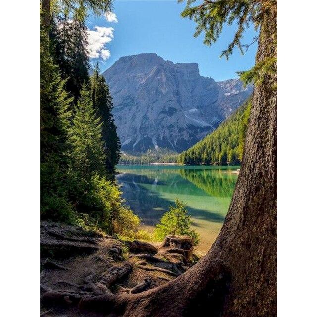 40x50 см Diy картина маслом по номерам садовая живопись по номерам взрослые пейзаж ручная роспись домашний декор подарок настенное искусство