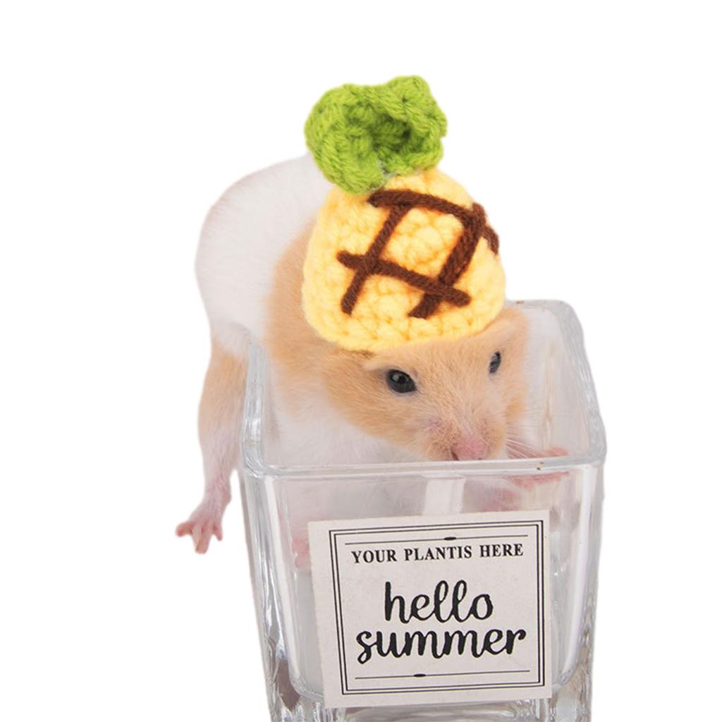 Вязаная крючком шапка-головной убор в виде морковки для хомяка, фестивальный подарок, ручная работа, реквизит для костюма, радужная шапка-морковка, головной убор