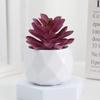 Evergreen Artificial Succulent Cactus Small Potted Plants Mini Bonsai Plants  Home