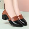 Single Shoes Women's Autumn New Thick Heel Light Mouth Color Matching Small Leather Shoes Soft Sole Comfortable One-pedal Shoes