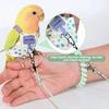 Adjustable Parrot Flying Harness Anti-Bite Parrot Flight Harness Bird Flight Suit  Small Parrots
