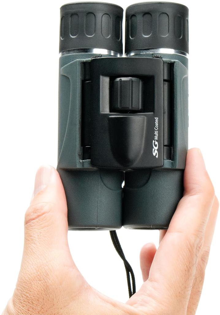 Kenko Binoculars 10x24 10x 24 Caliber Roof Prism Compact Lightweight 258g for Travel and Concerts 012765 SG-H 2-axis