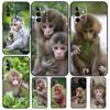 Милый малыш обезьянка животное Funda для Samsung Galaxy A14 A24 A34 A54 A51 A71 A13 A23 A33 A53 A12 A22 A32 A42 A52 чехол