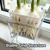 Hydroponic Containers with Breathable Support Basket Tulip Seed Hydroponic Flowerpot 4 Holes Soilless Flower Pot Home Decoration