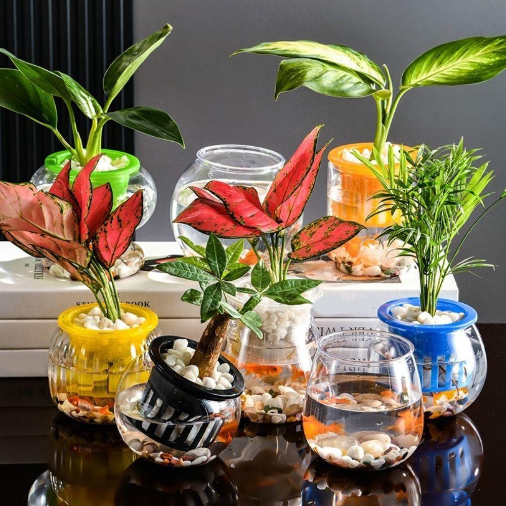 Пластиковый Цветочный Горшок Прозрачный Аквариум Креативные Горшки для Растений с Автополивом Настольный