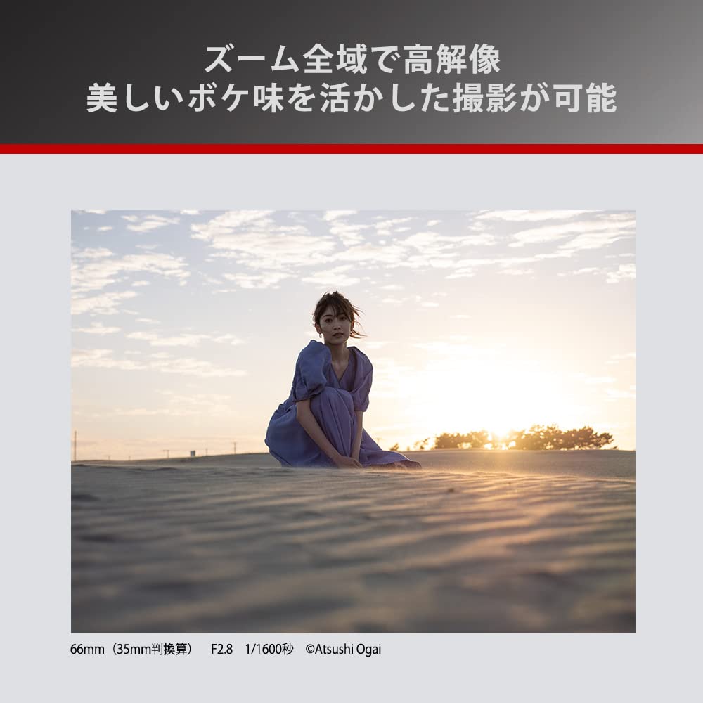 Panasonic Стандартный зум-объектив Leica DG с большой апертурой Lumix 12-35 мм/F2.8 ASPH./POWER OIS. H-ES12035