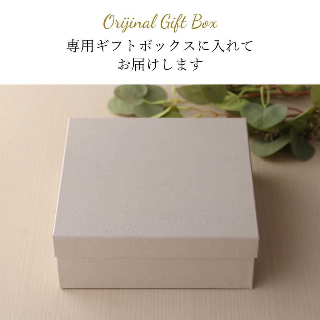 Dolce Duo Stylish Dinnerware Set of 2 Curry Pasta and Salad Made In Mino A Great Gift (Boxed) Plate, Plate, Bowl. Japan, Ware. CG-1828. Idea.